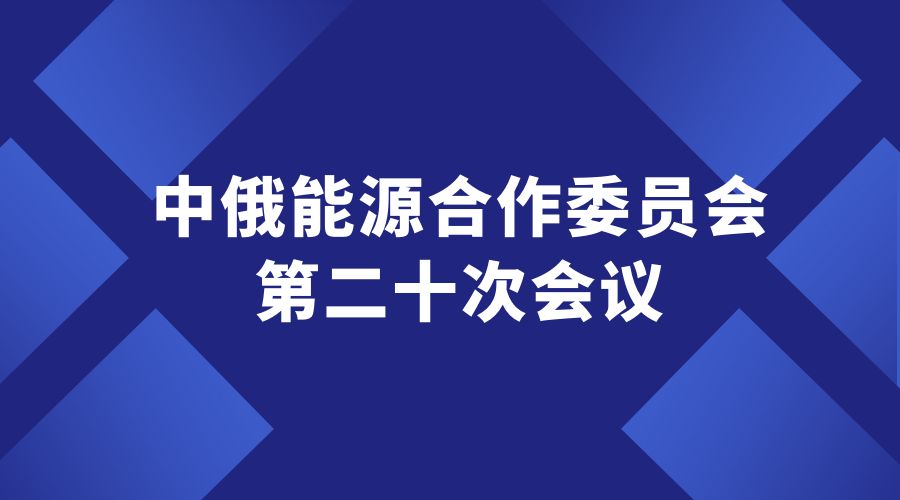 國(guó)務(wù)院副總理丁薛祥：深入推進(jìn)中俄碳市場(chǎng)合作